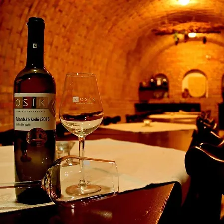 Kosik בית הארחה Tvrdonice